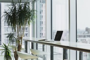 Read more about the article Unlocking Start-Up Success with Business Credit