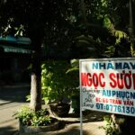 Branding Services for Startups: Elevate Your Image