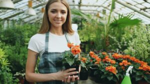 Read more about the article Accelerating Small Business Growth with Partner Agency